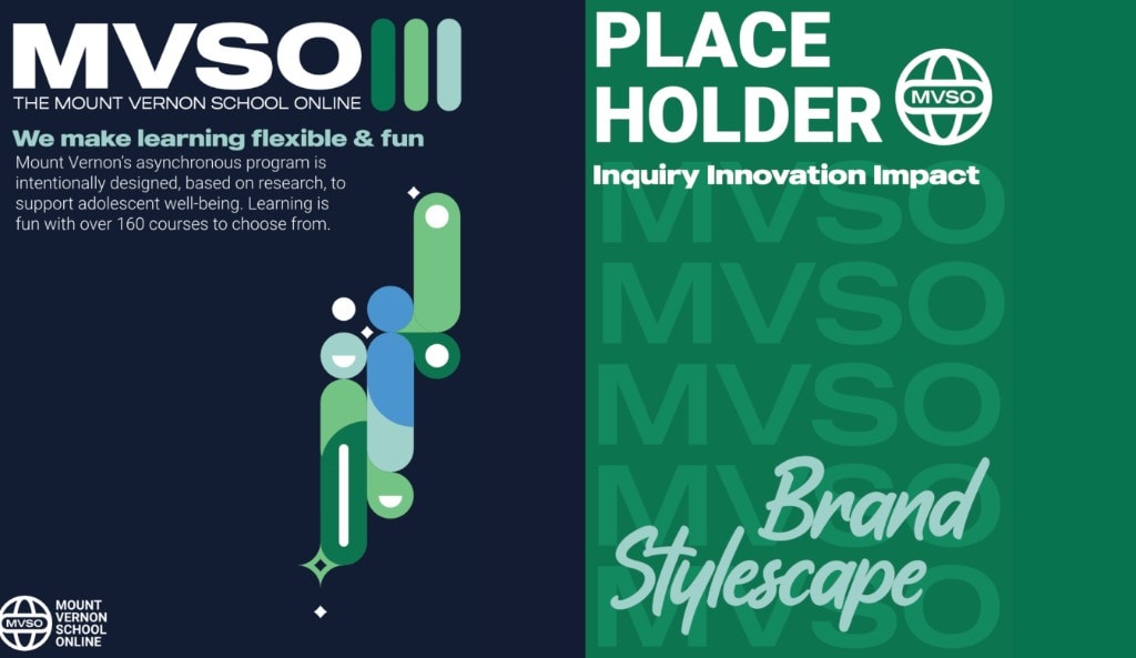 MVSO brand stylescape with navy and green panels, lockup, and inquiry innovation impact.